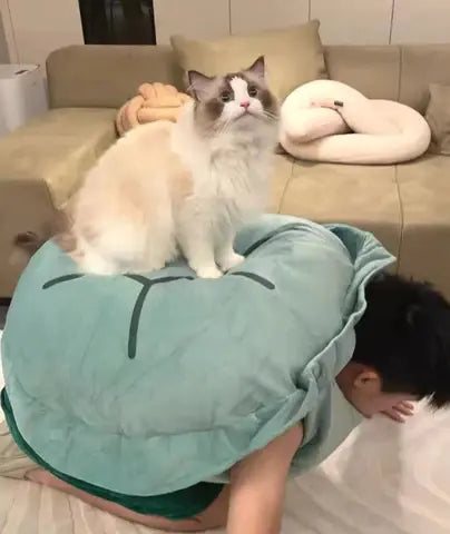 Wearable Turtle Shell Pillow Trendslana