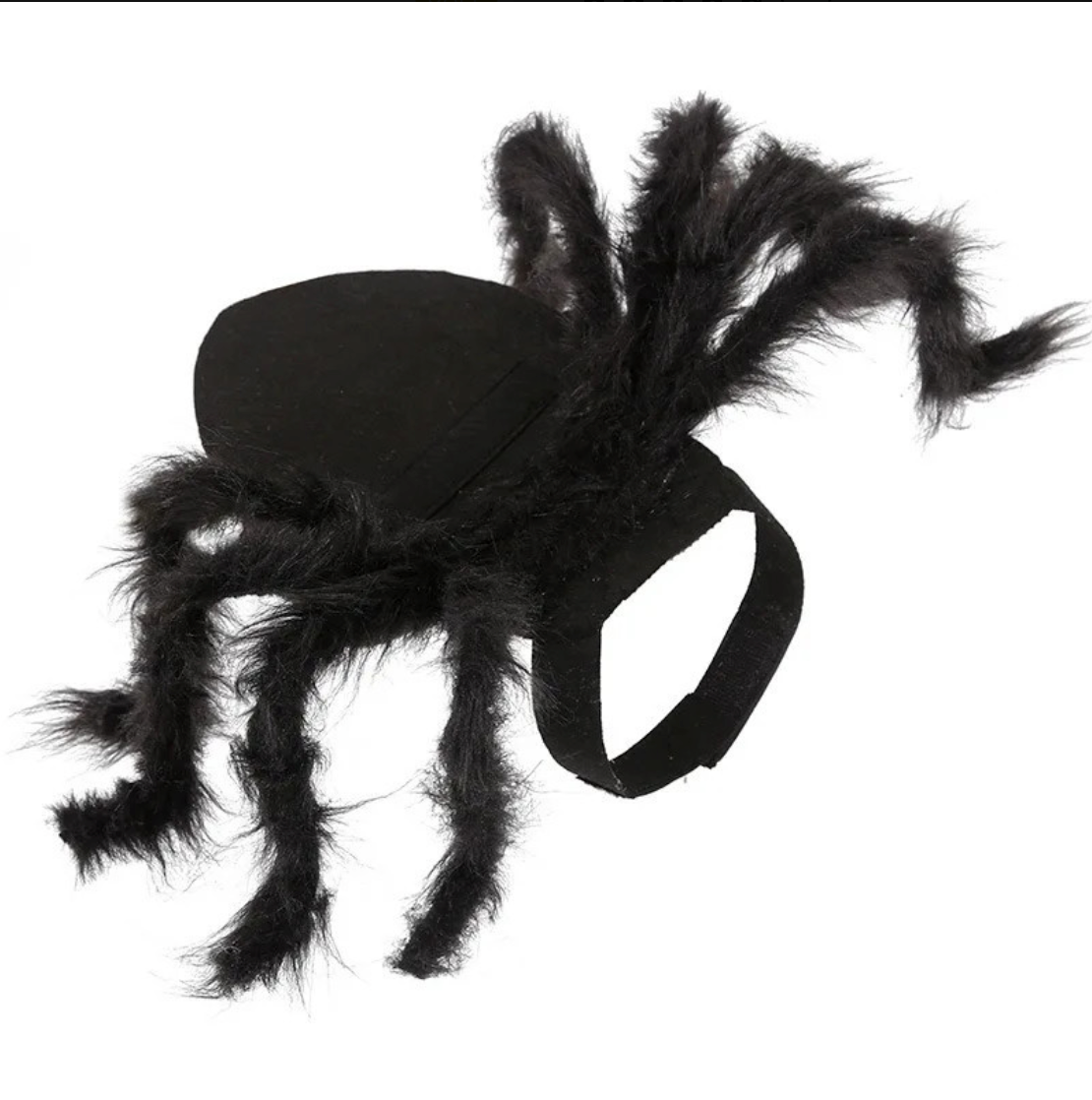 Cat Spider Costume