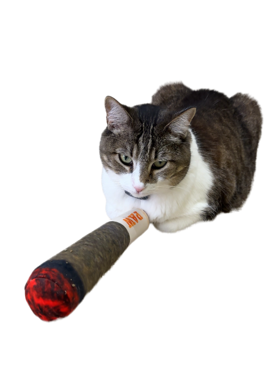 Kitty Joint Toy