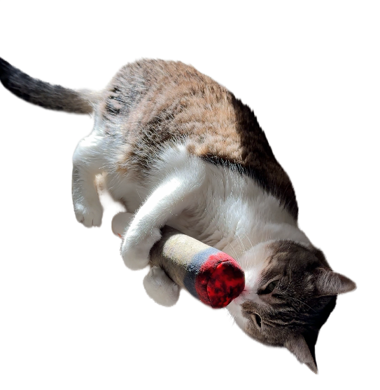 Kitty Joint Toy