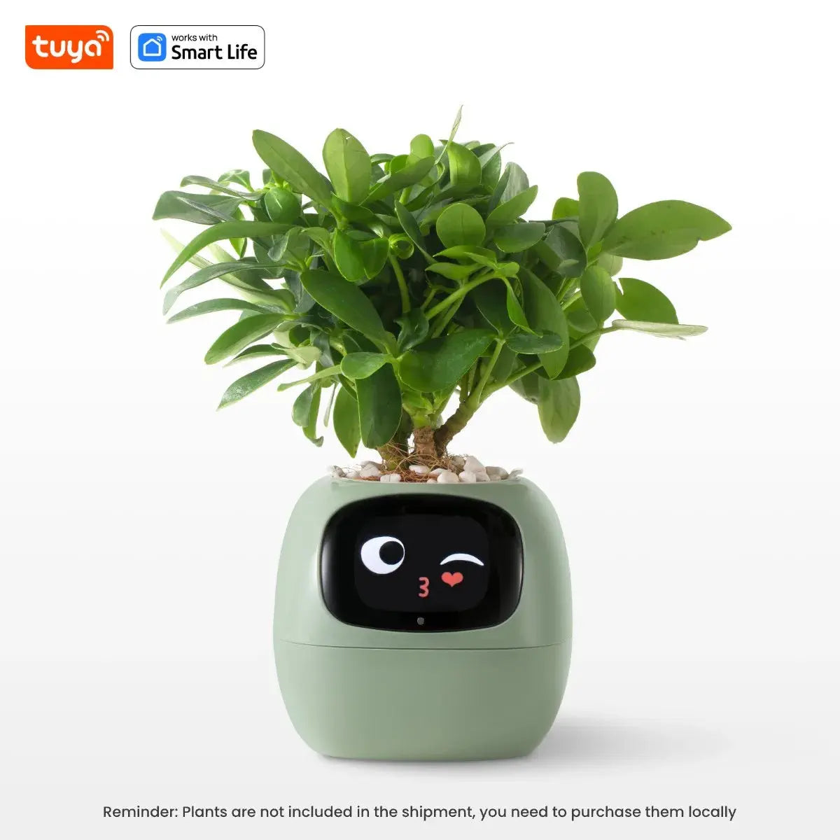 AI Smart Planter My Store