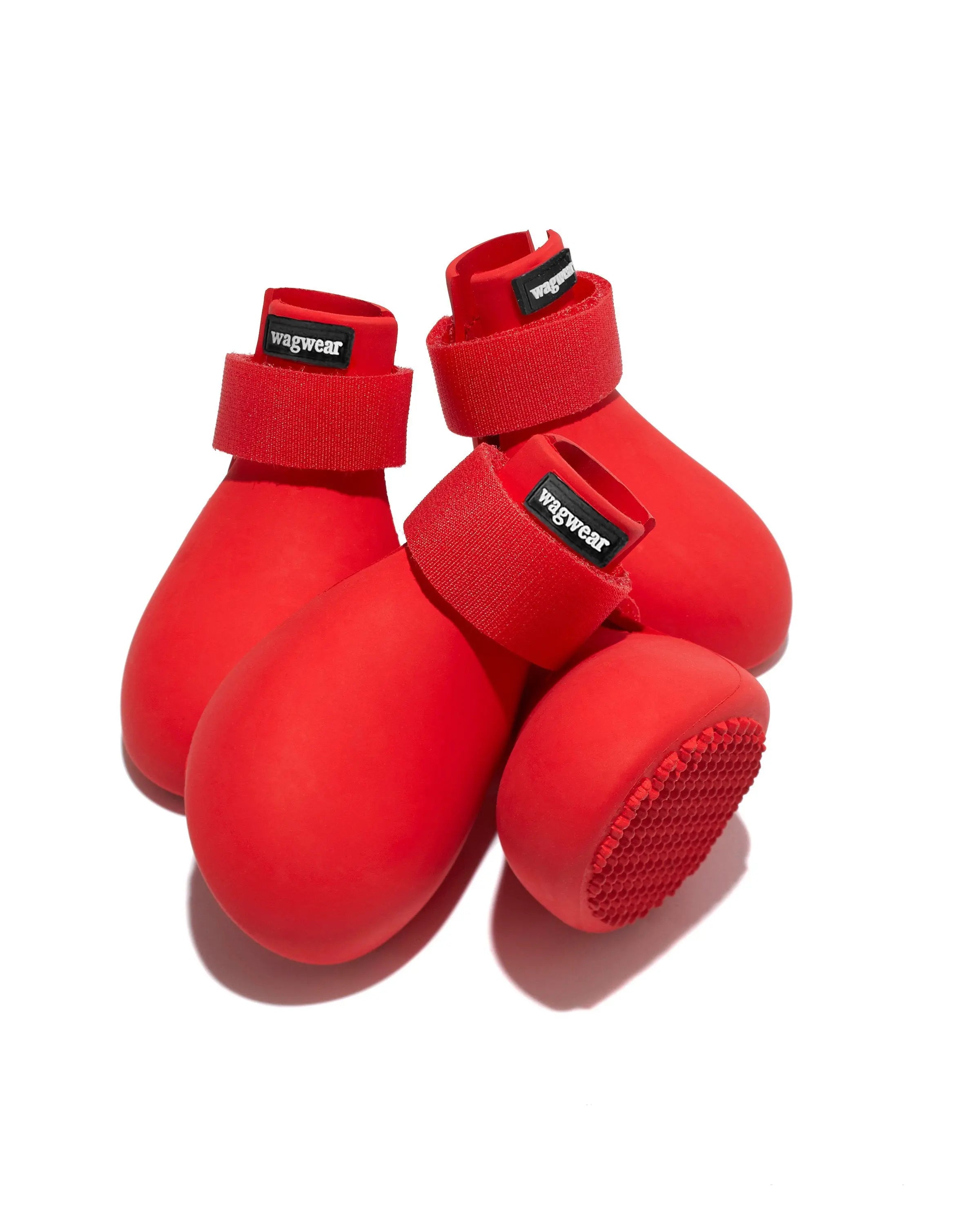 PAWSOME PAIR OF CROCS Trendslana