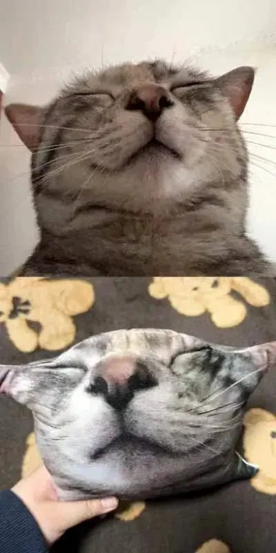 Cat Customizable pillows Trendzoid