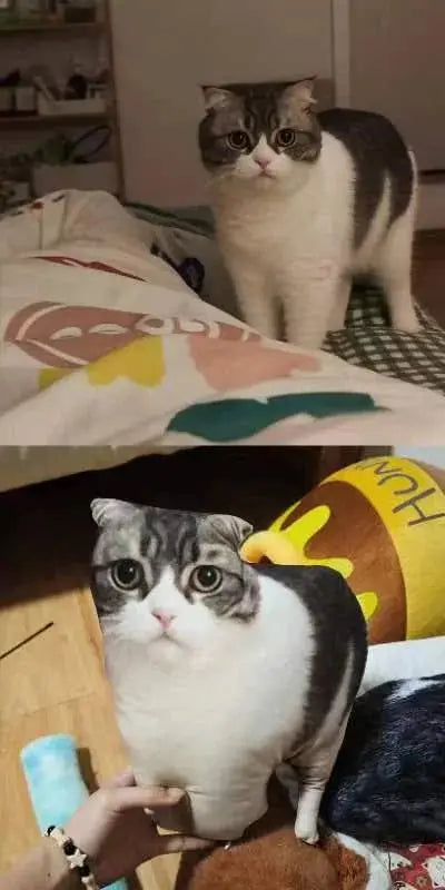 Cat Customizable pillows Trendzoid