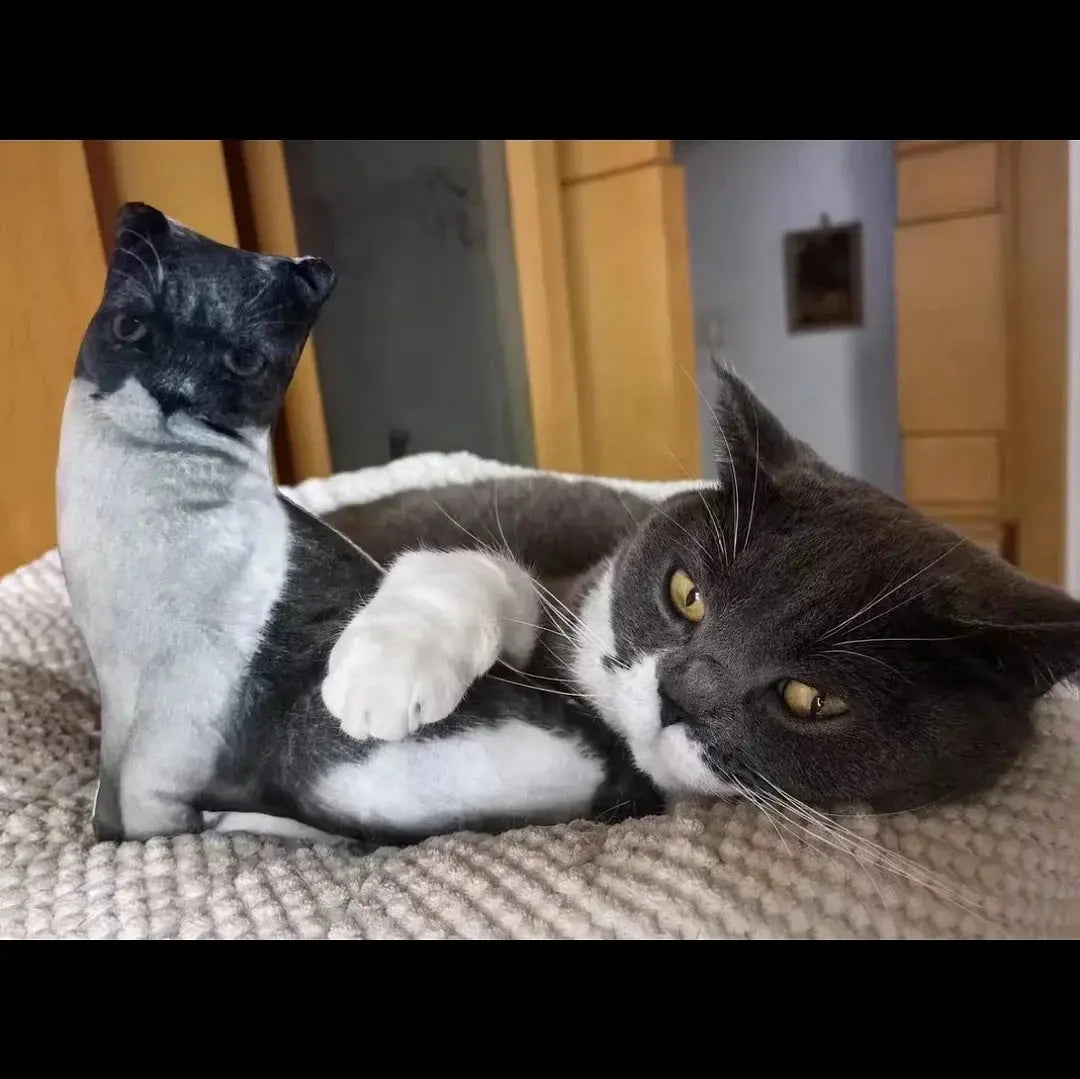 Cat Customizable pillows Trendzoid
