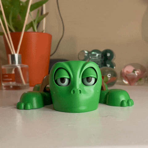 Turtle Coaster