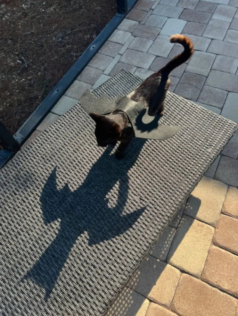Bat Wings Costume for Pets Trendslana