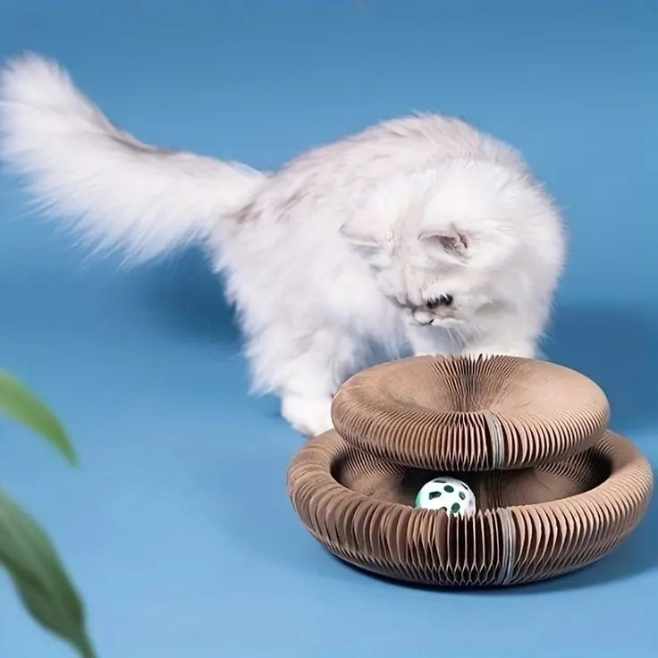 Cat Ball Toy Trendslana