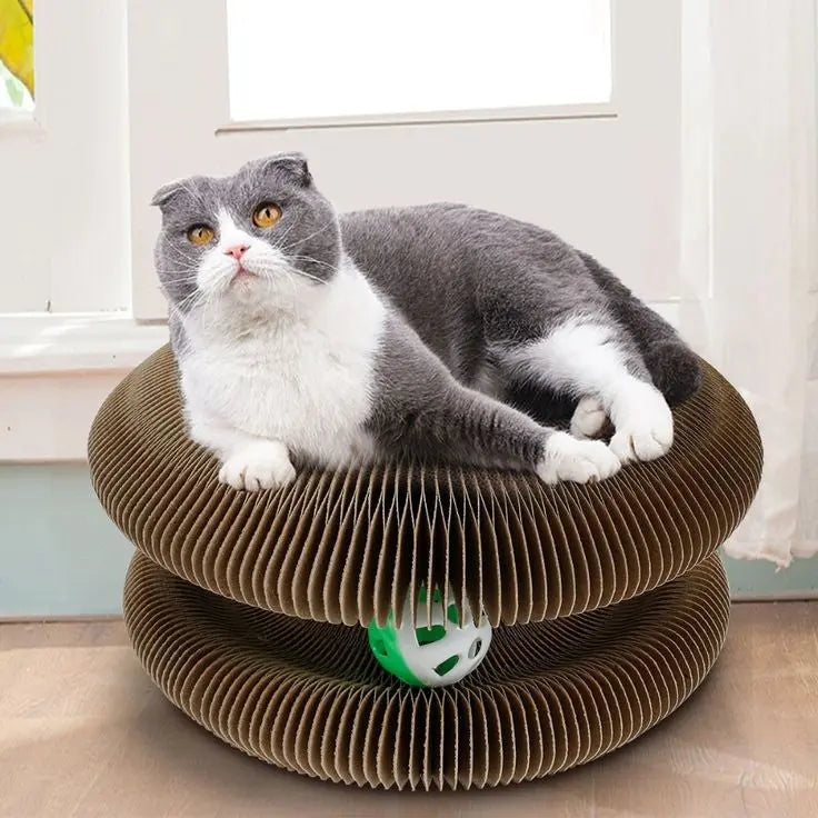 Cat Ball Toy Trendslana