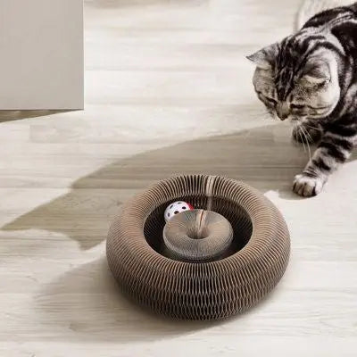 Cat Ball Toy Trendslana