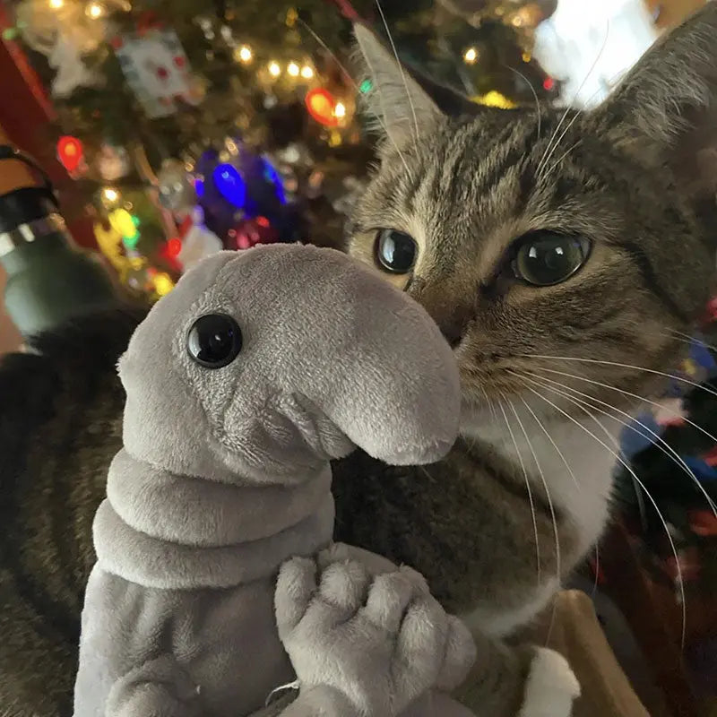 Fluffy Wosh Wosh Life