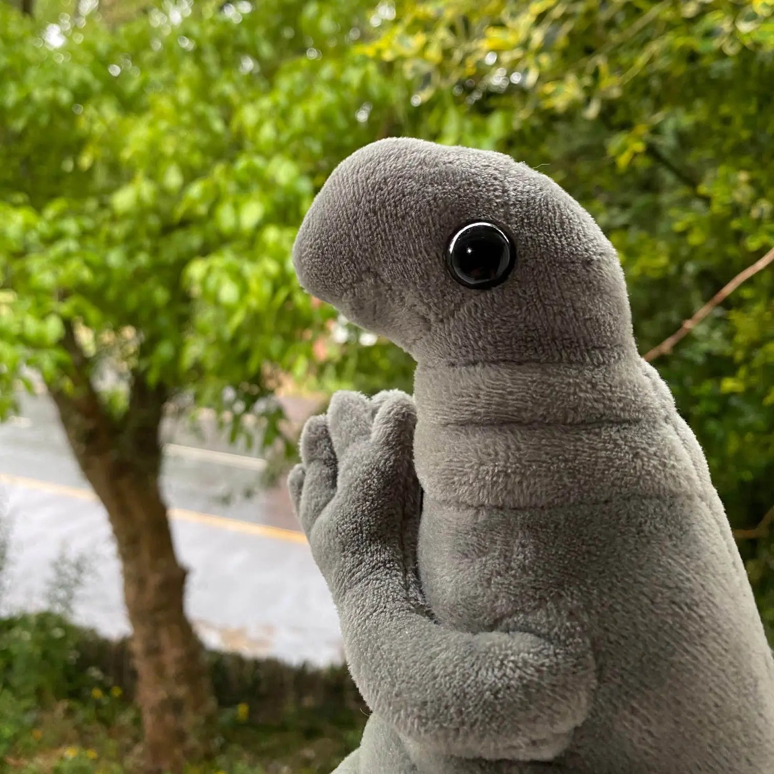 Fluffy Wosh Wosh Life