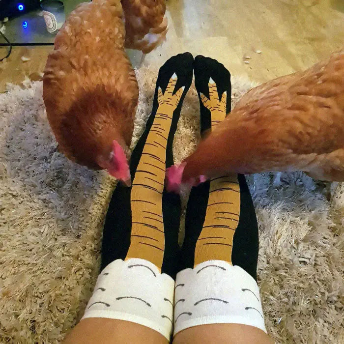 Chicken Leg Socks Trendslana