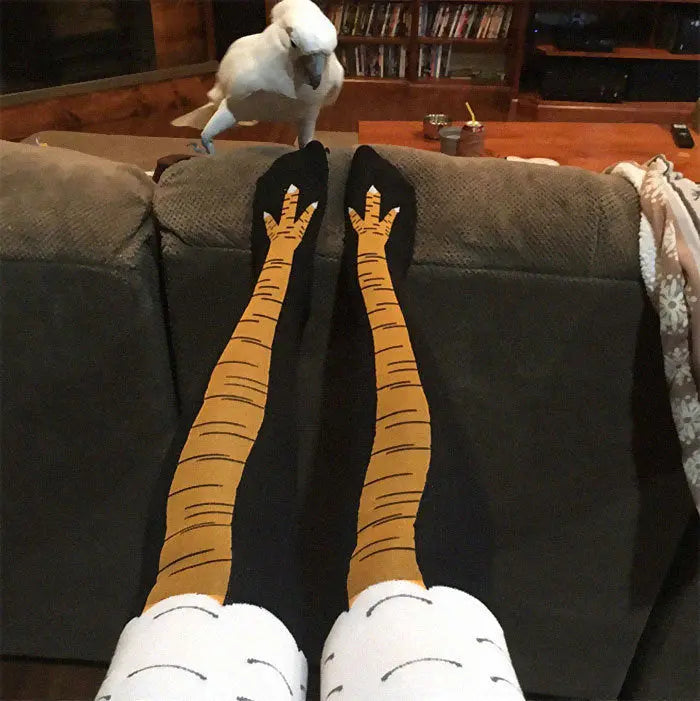 Chicken Leg Socks Trendslana