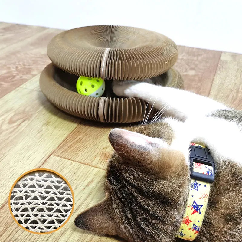 Magic Cat Scratching Board Trendslana