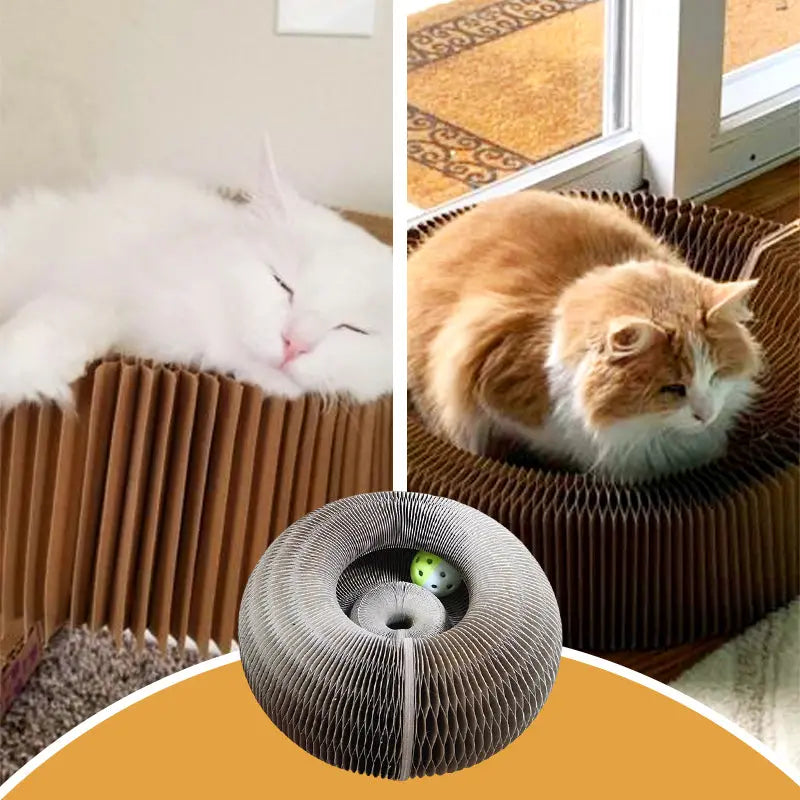 Magic Cat Scratching Board Trendslana