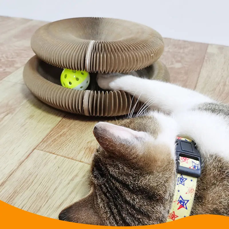 Magic Cat Scratching Board Trendslana