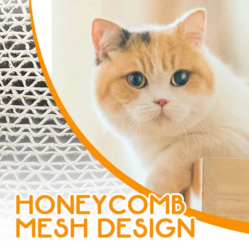 Magic Cat Scratching Board Trendslana