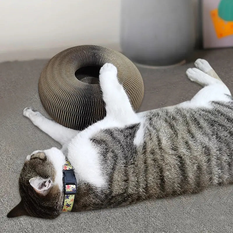 Magic Cat Scratching Board Trendslana