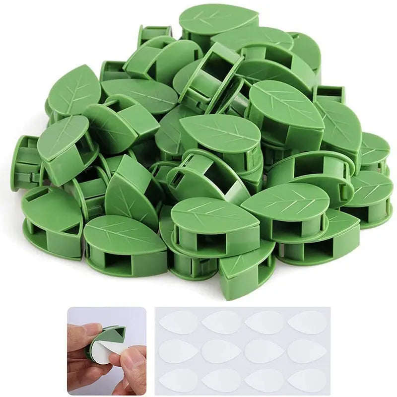 Leaf Plant Clip Trendslana