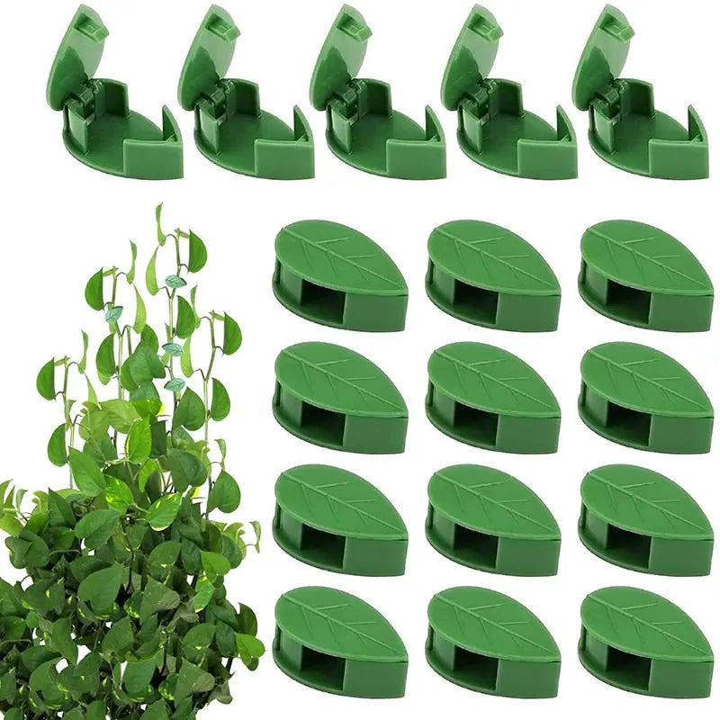 Leaf Plant Clip Trendslana