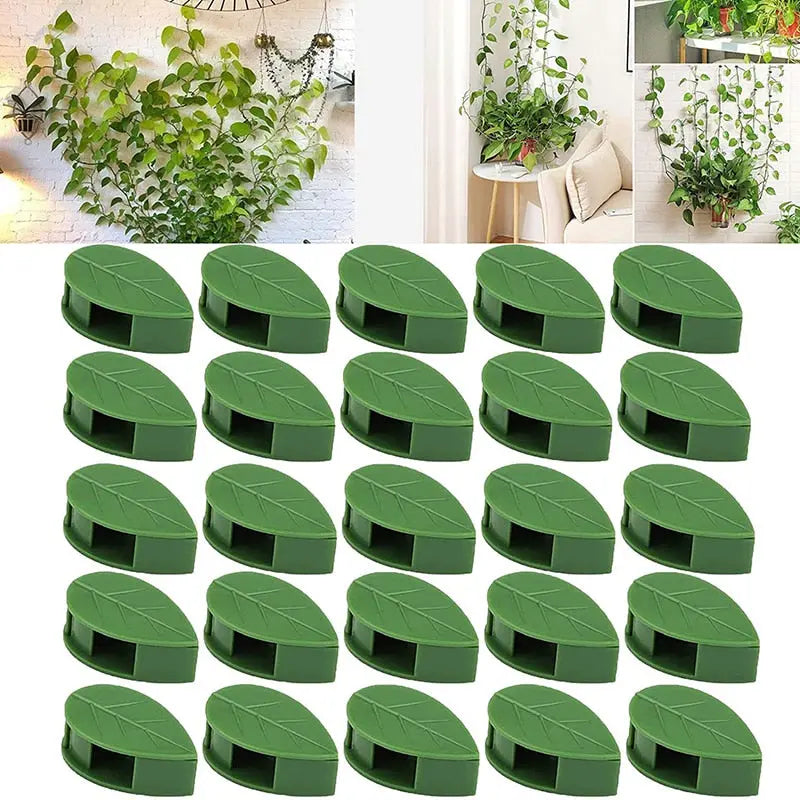 Leaf Plant Clip Trendslana