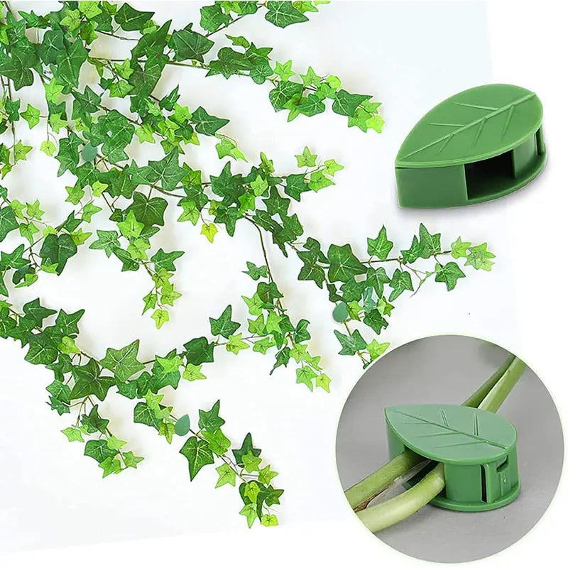 Leaf Plant Clip Trendslana