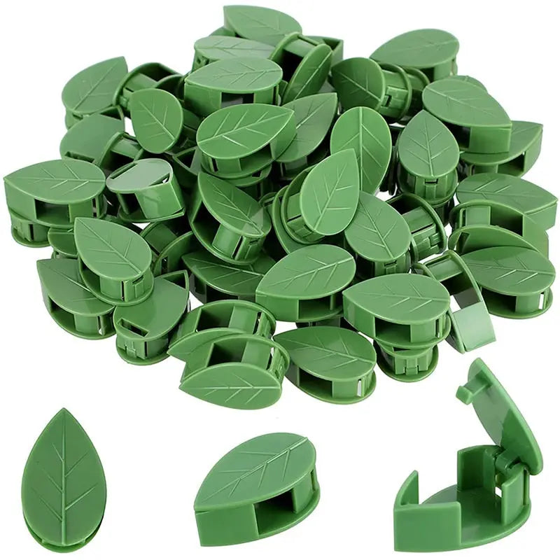 Leaf Plant Clip Trendslana