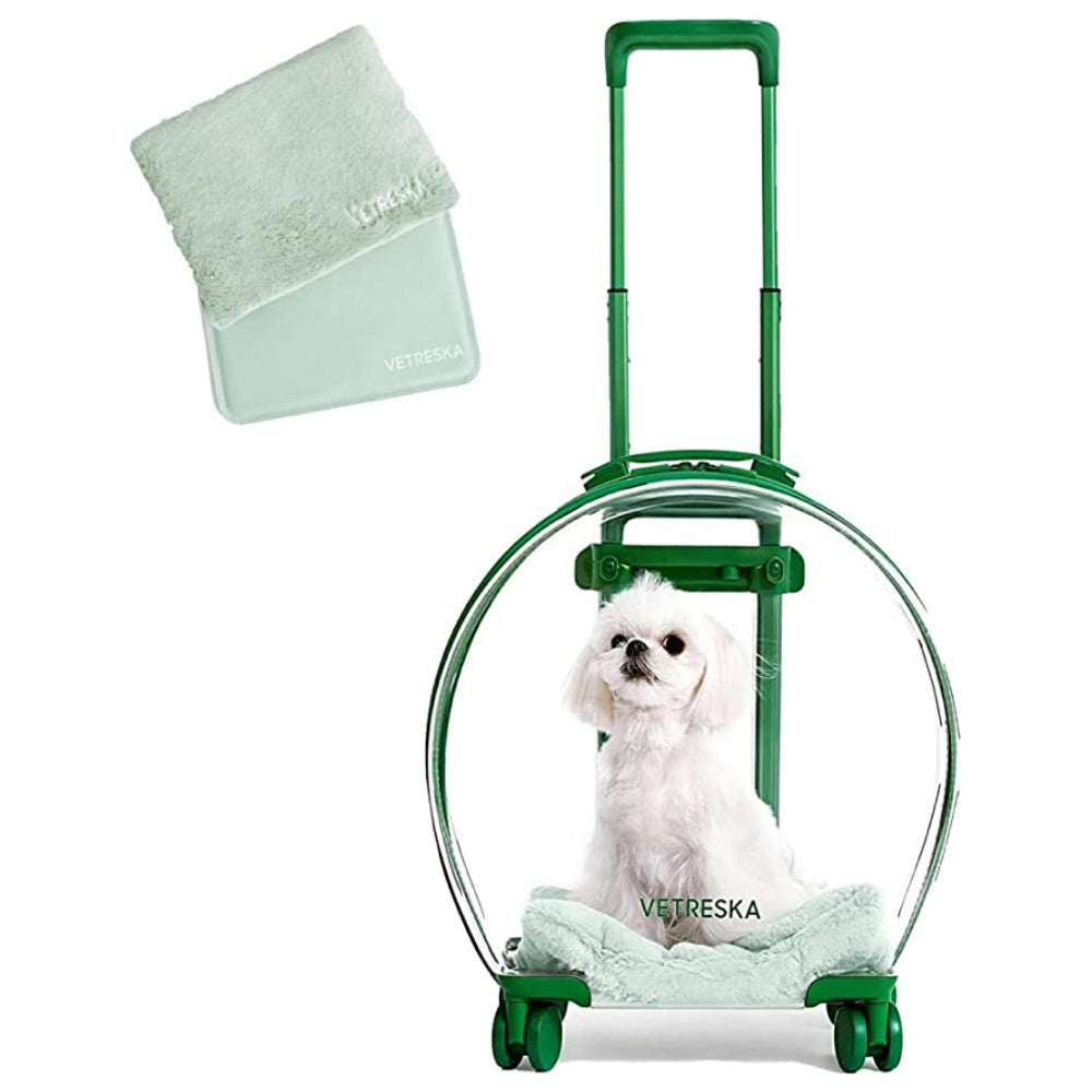 Pet Carrier with Stickers and 2 Mats, Pet Bag Trolley Case