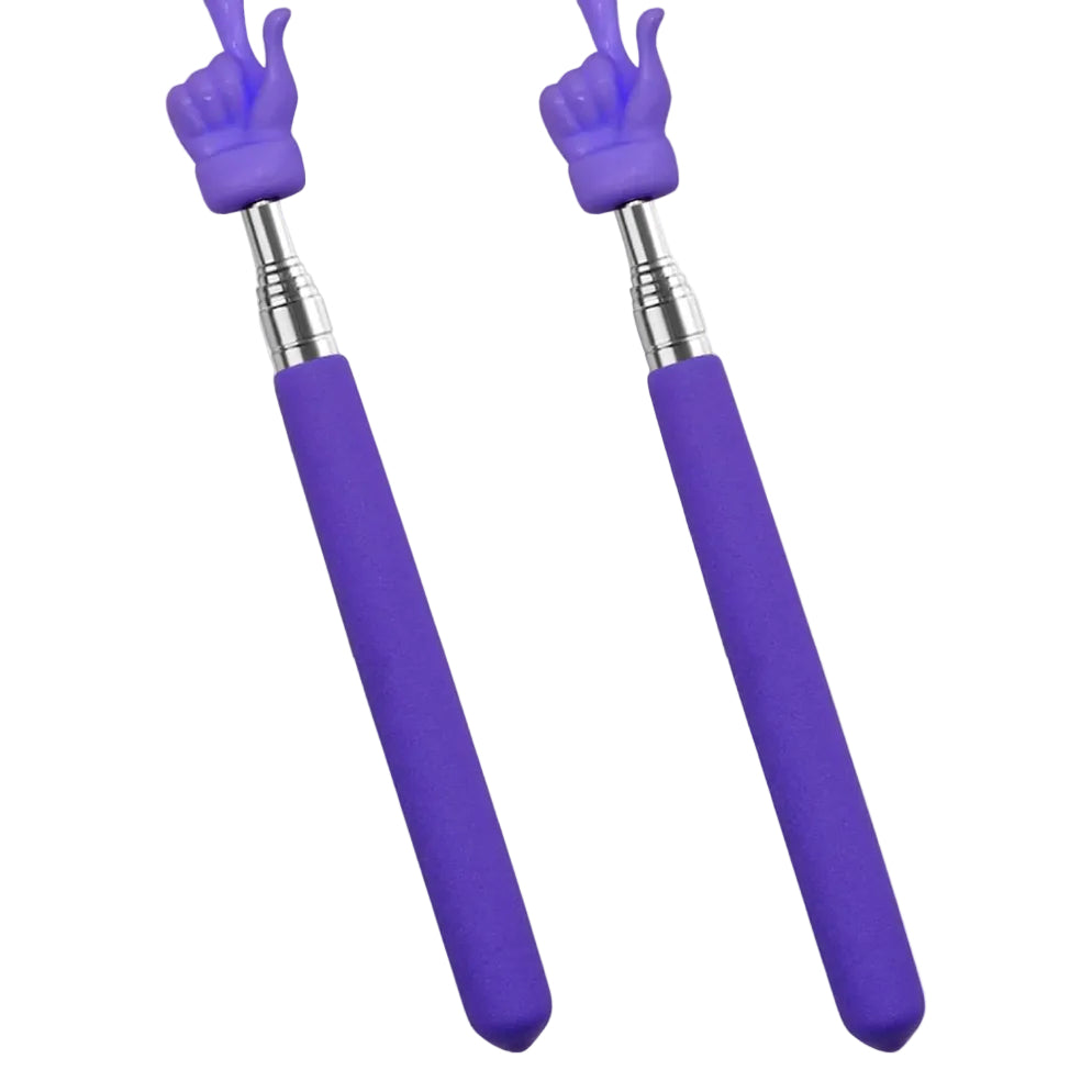 2Pcs Telescopic Teachers Pointer