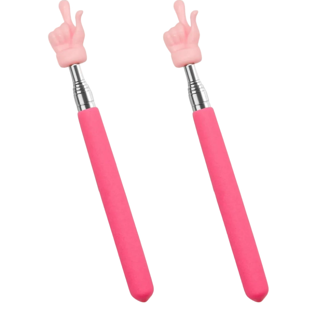 2Pcs Telescopic Teachers Pointer