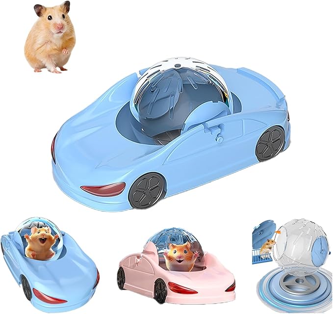 Funny Hamster Wheel