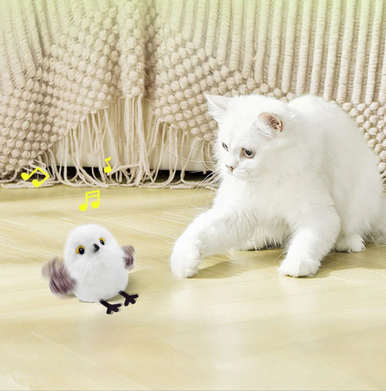 Bird Chase