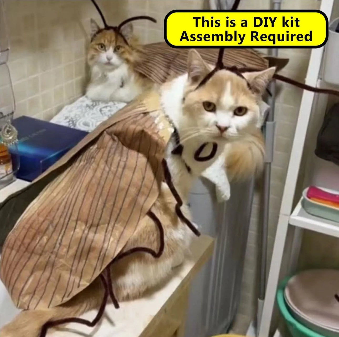 Meowroach Cat Costume