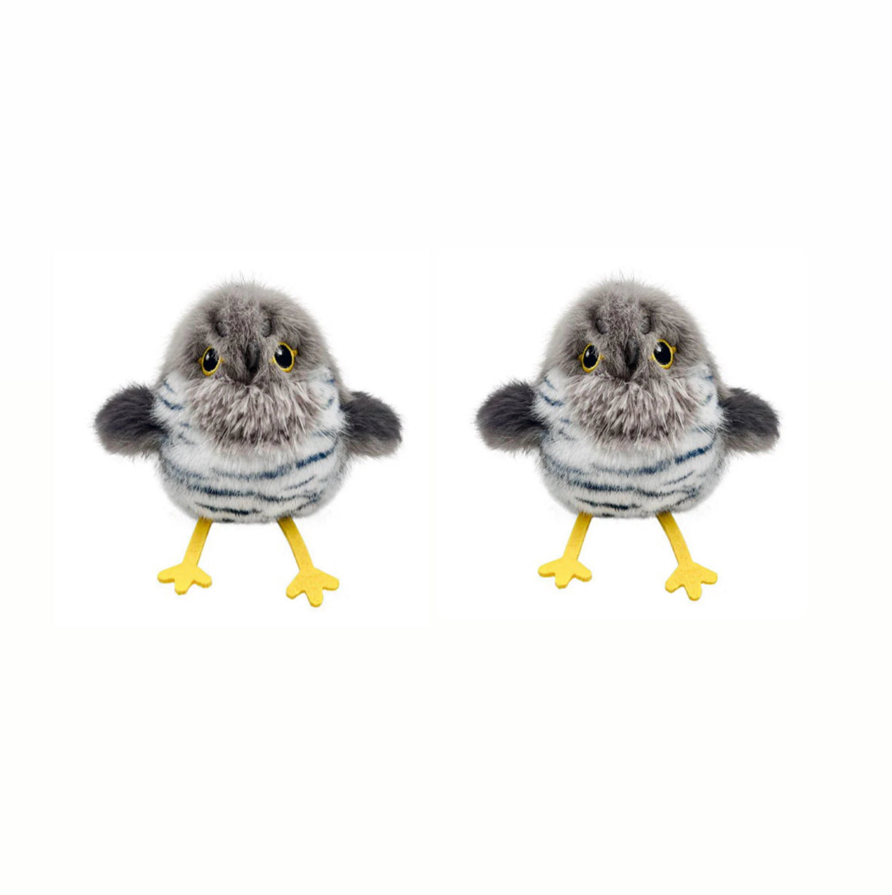 Bird Chase