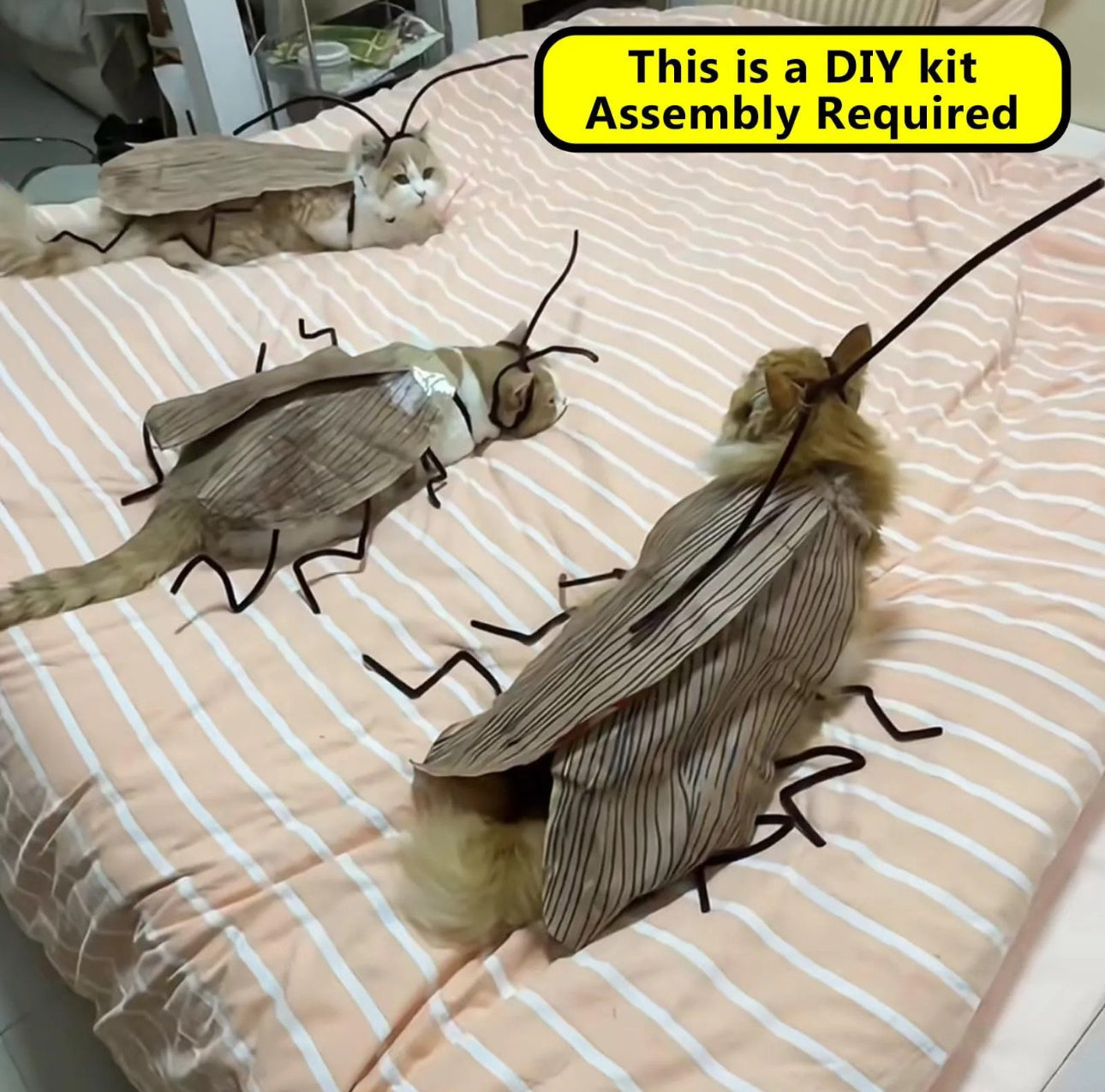 Meowroach Cat Costume