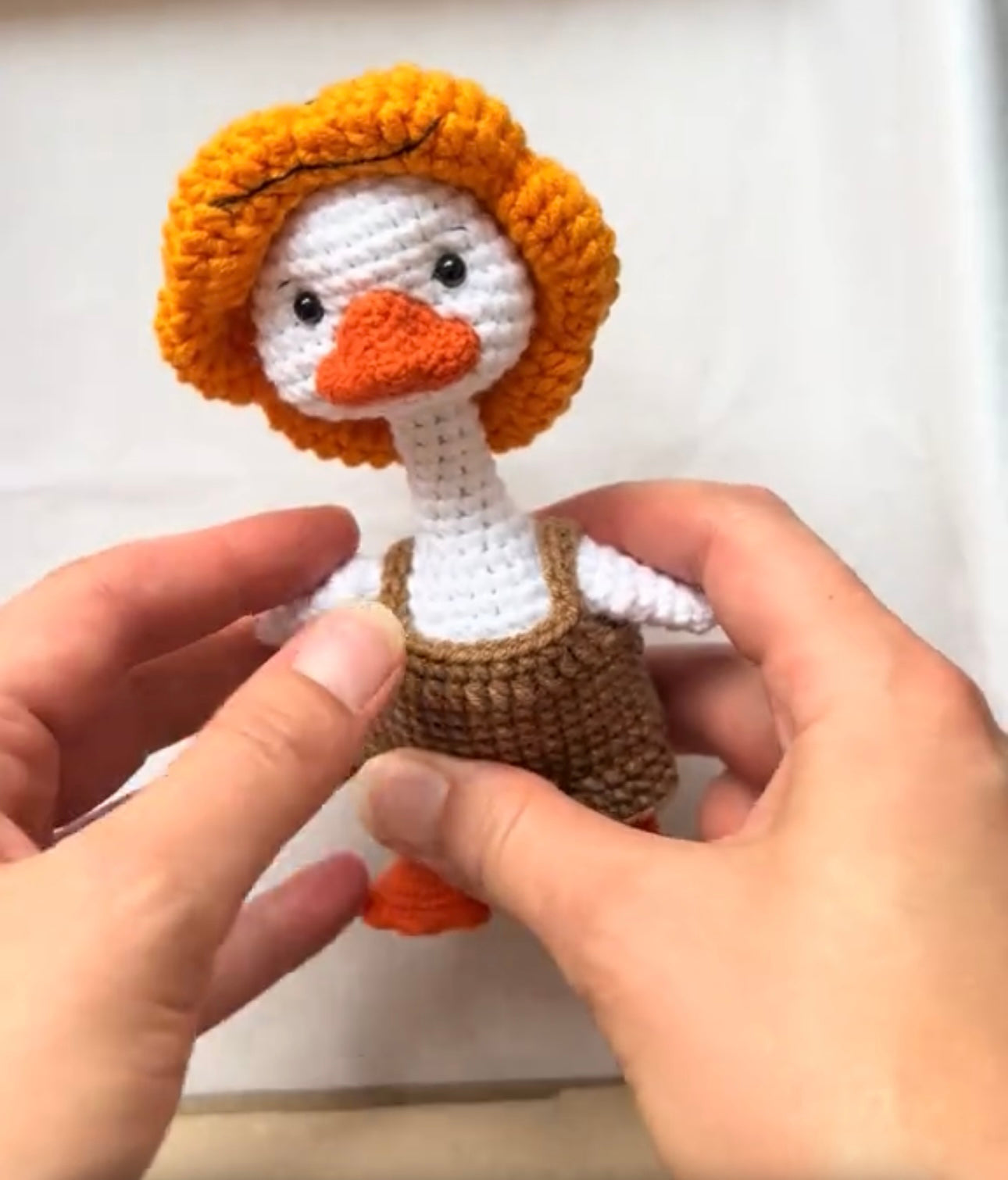 Pumpkin Head Goose