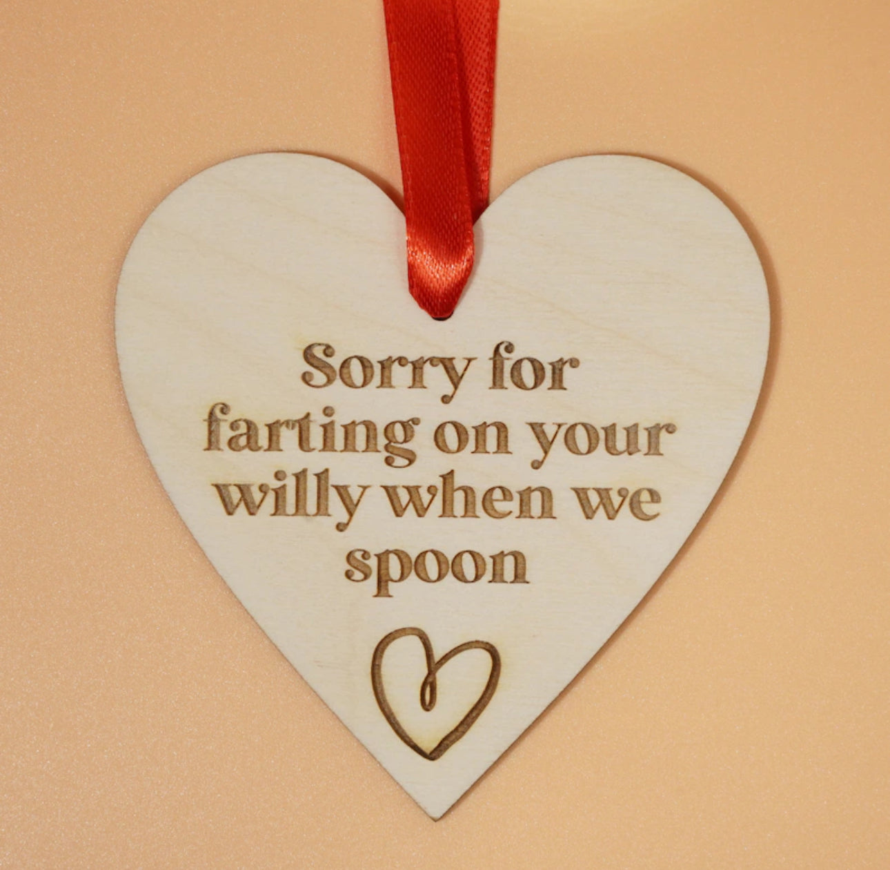 Sorry For Farting On Your Willy Ornament