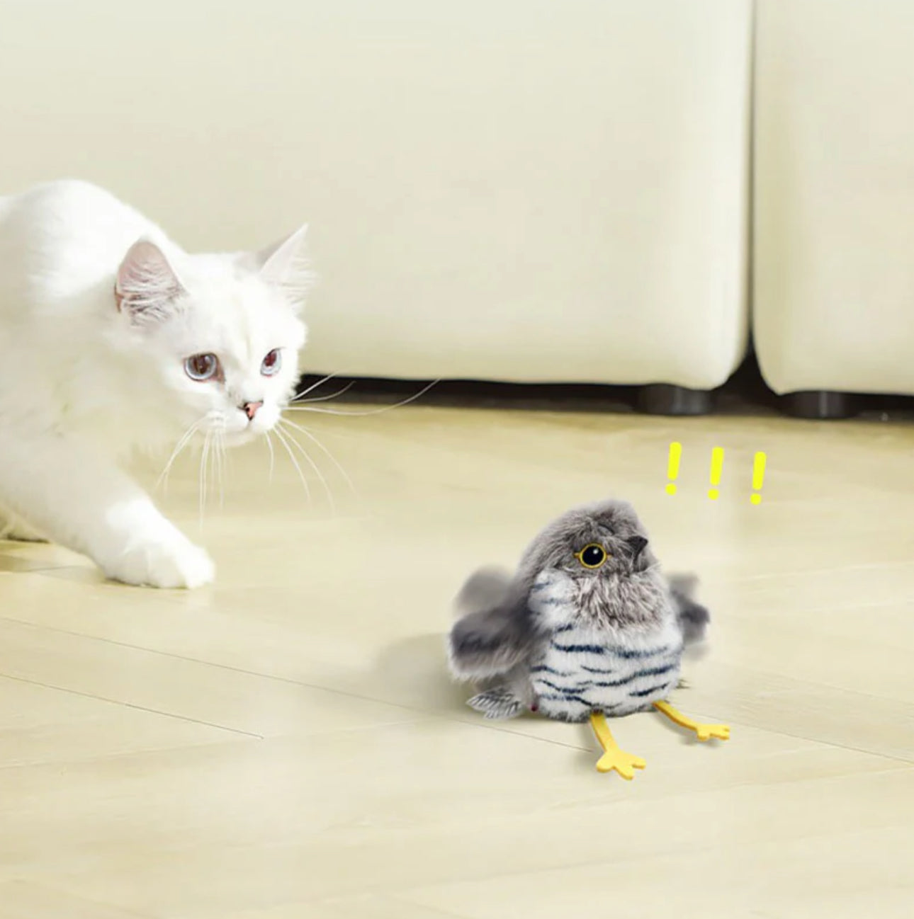 Bird Chase
