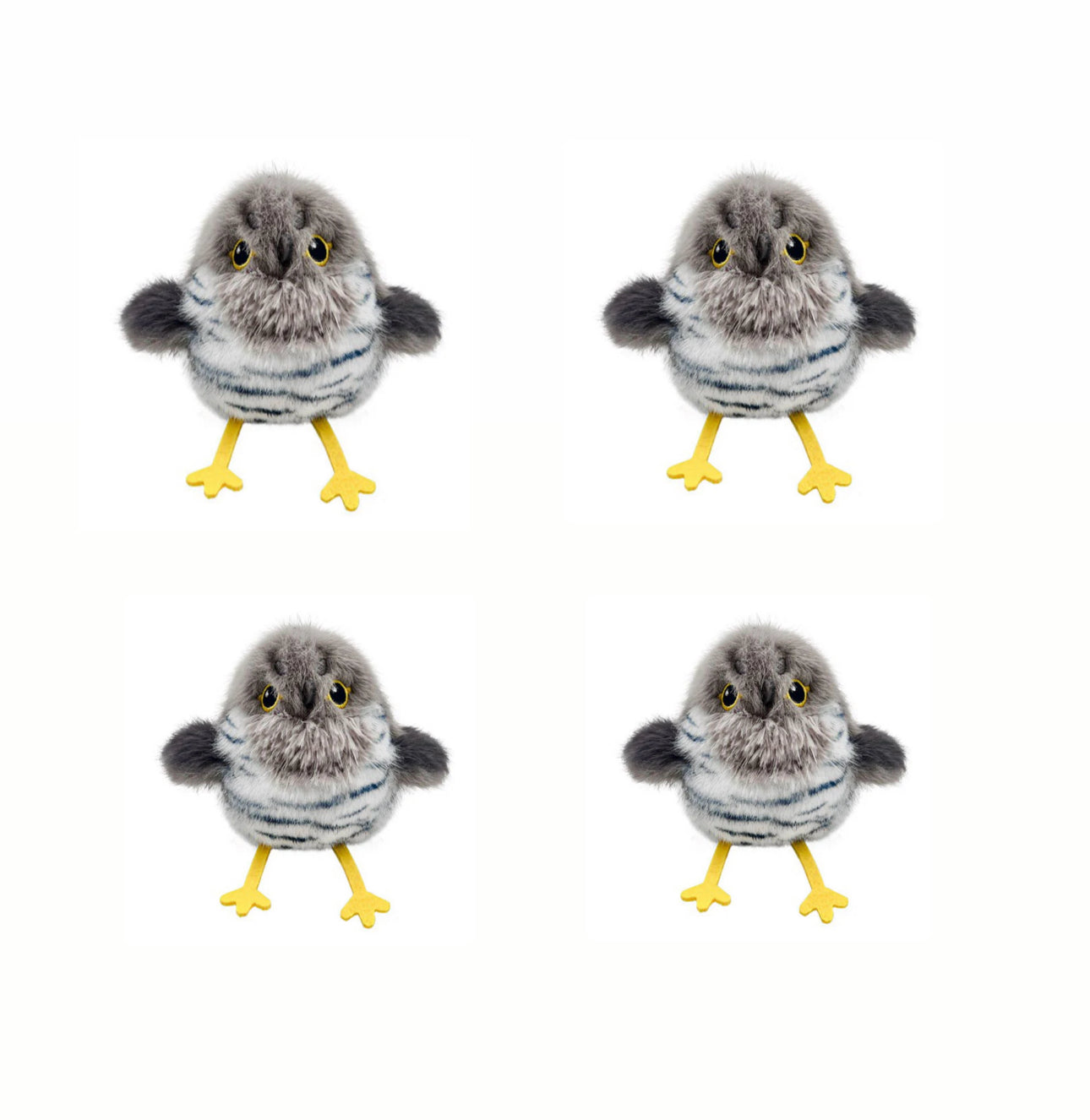 Bird Chase