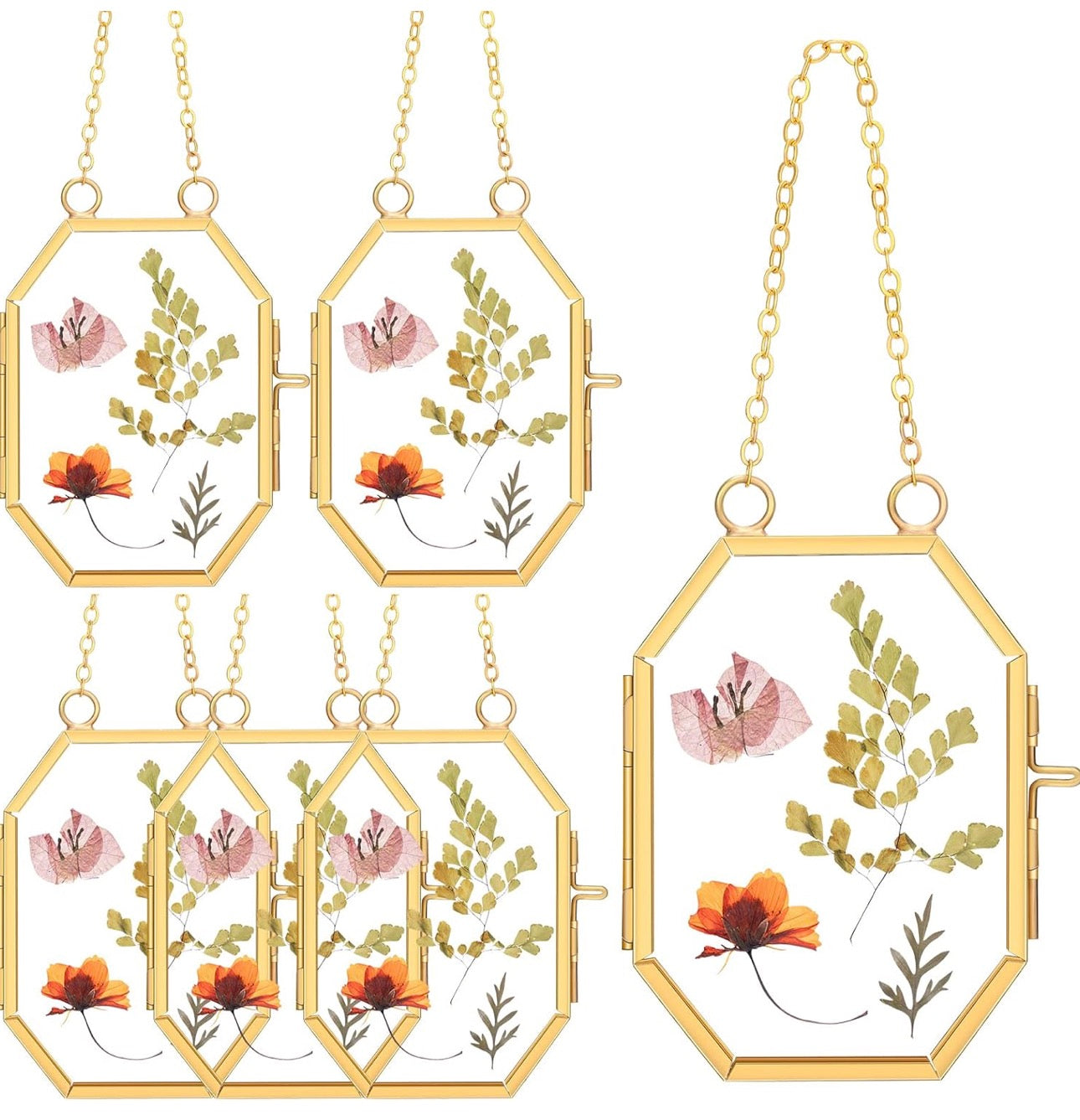 Double Glass Frame