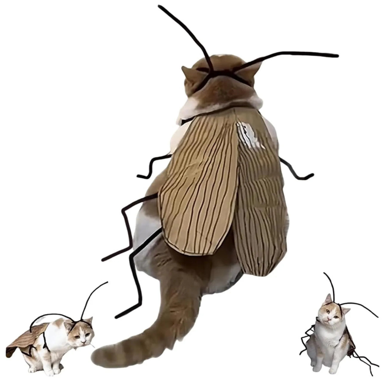 Meowroach Cat Costume
