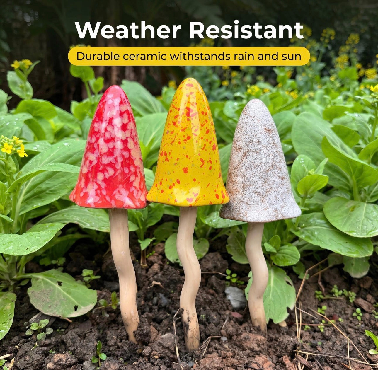 TINKLING TOADSTOOLS MUSHROOMS