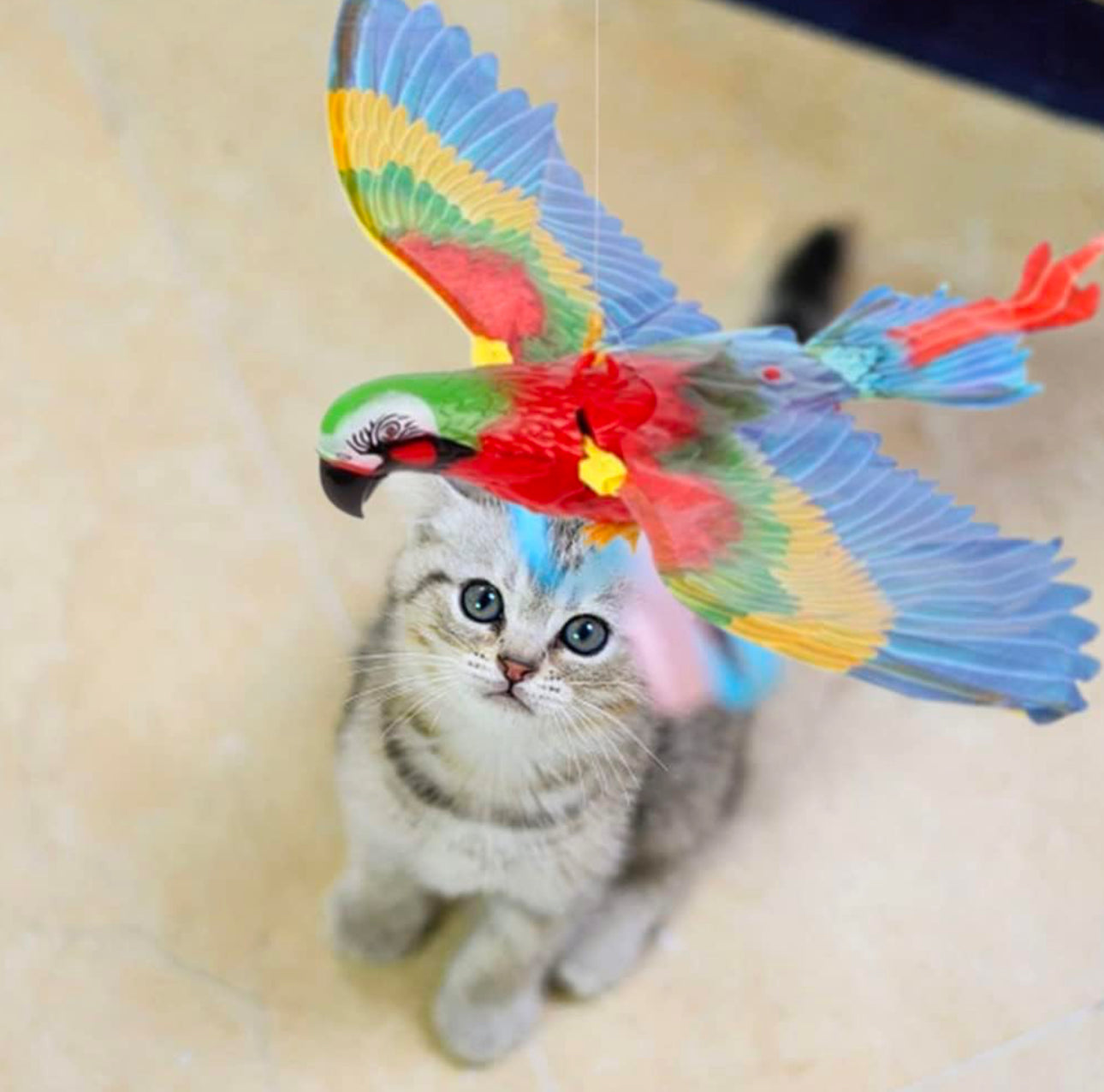 Flying Bird Cat Toy