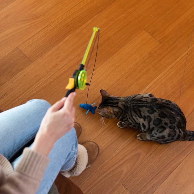 Cat Fishing Rod Toy