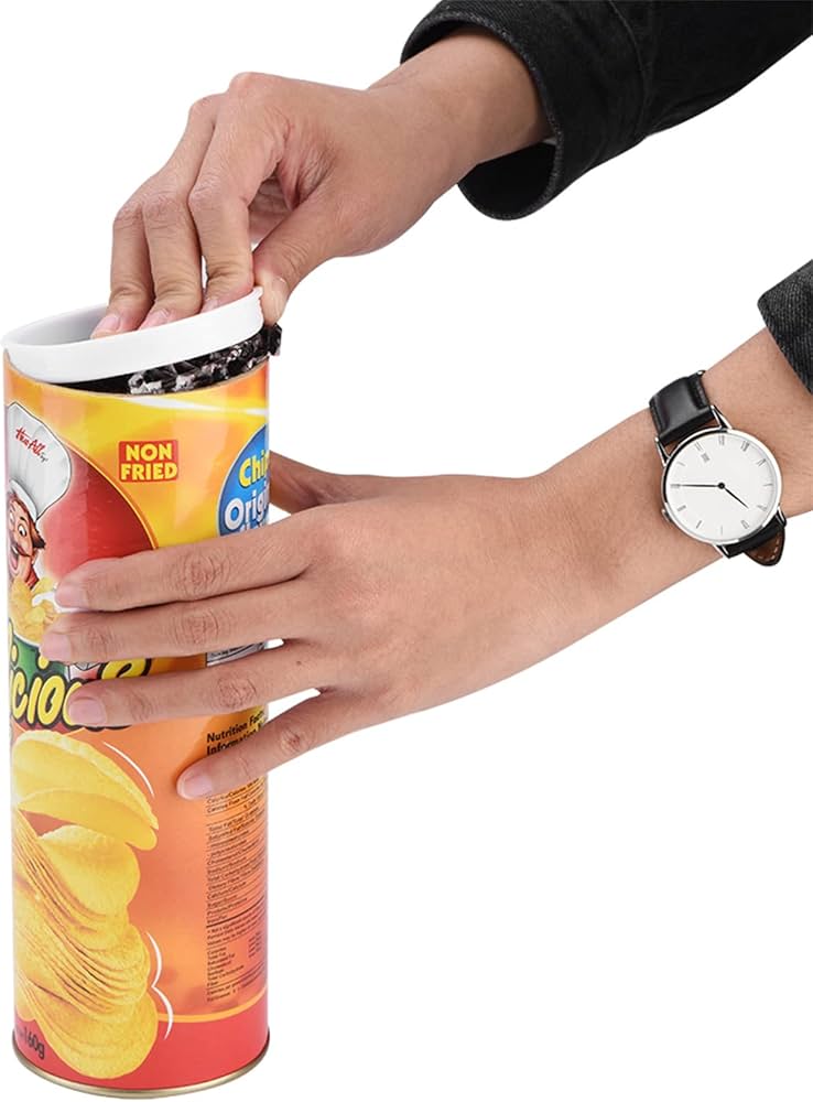 Prank Pringles Can