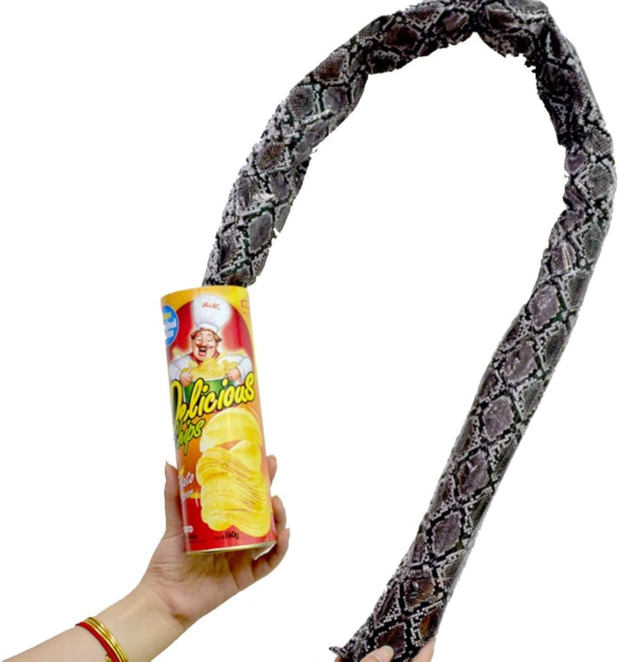 Prank Pringles Can