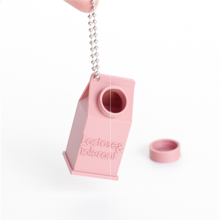 lactose intolerant keychain