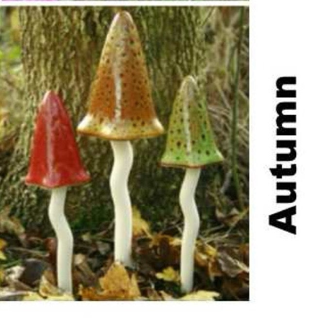 TINKLING TOADSTOOLS MUSHROOMS
