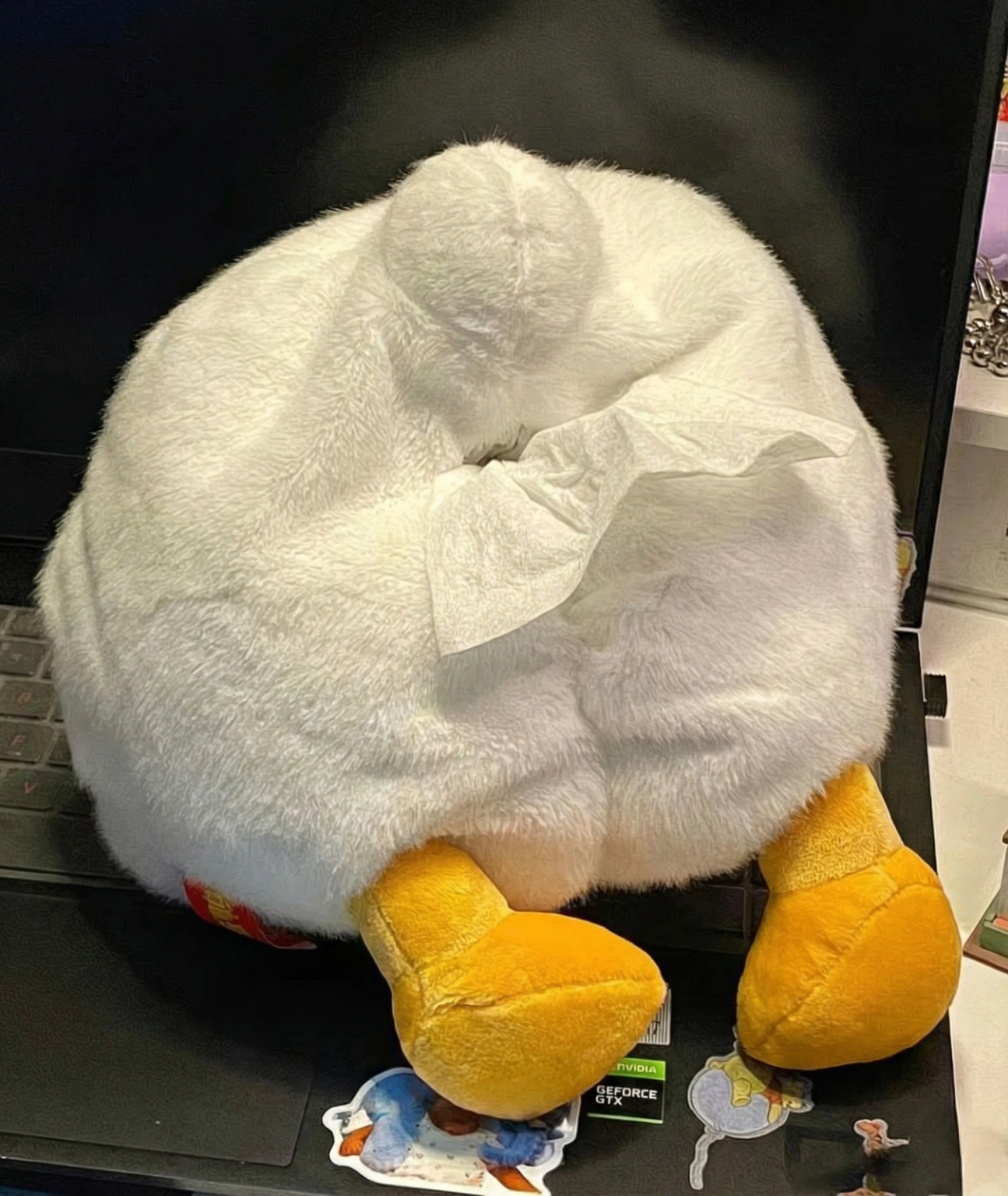 Quackbottom Tissue Box